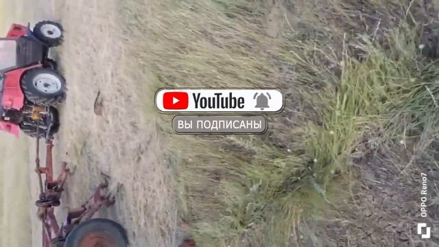 Сенакос. ПРЕСС.МИНИТРАКТОР #минитрактор #пресс #youtubeshort смотреть онлайн