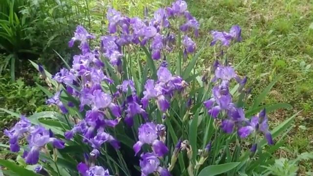 Суми - 22 (Евакуація, вулиці. Новорічна, Праці, Металургі смотреть онлайн