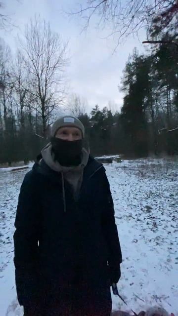 Шапка для Амстаффа на морозы #shorts #shortvideo #staff #subscribe #amstaff смотреть онлайн