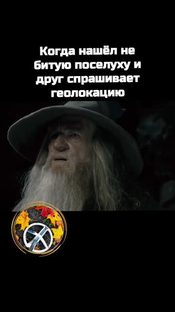 Я не помню #коп #металлоискатель #металлопоиск #коп #deus