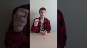 Как без компаса определить стороны света?