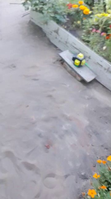 Укладка тротуарной плитки.