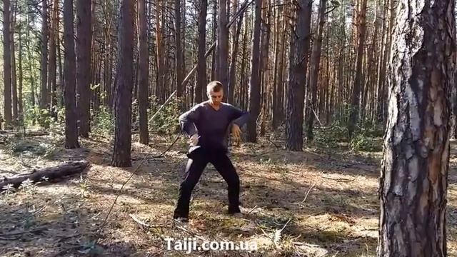 Wild Chen Taiji - Традиционный Тайцзицюань смотреть онлайн