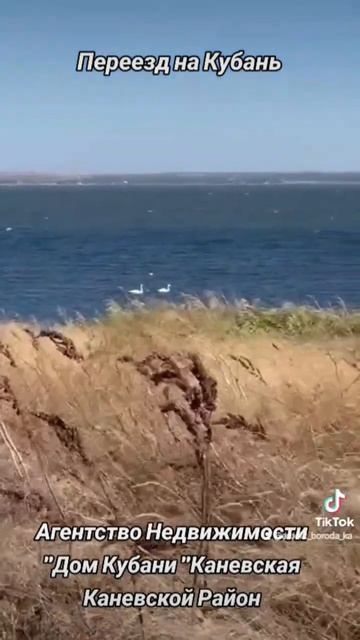 Агентство Недвижимости ст Каневская Каневской Район ? смотреть онлайн