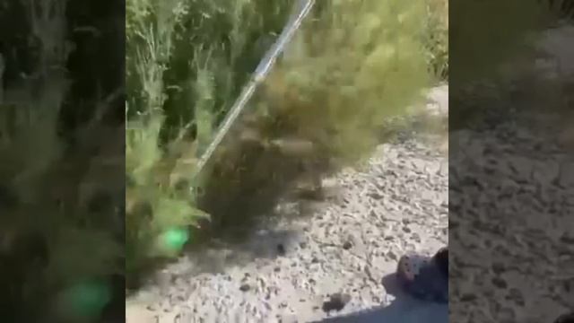 Тример акумуляторний 36V смотреть онлайн