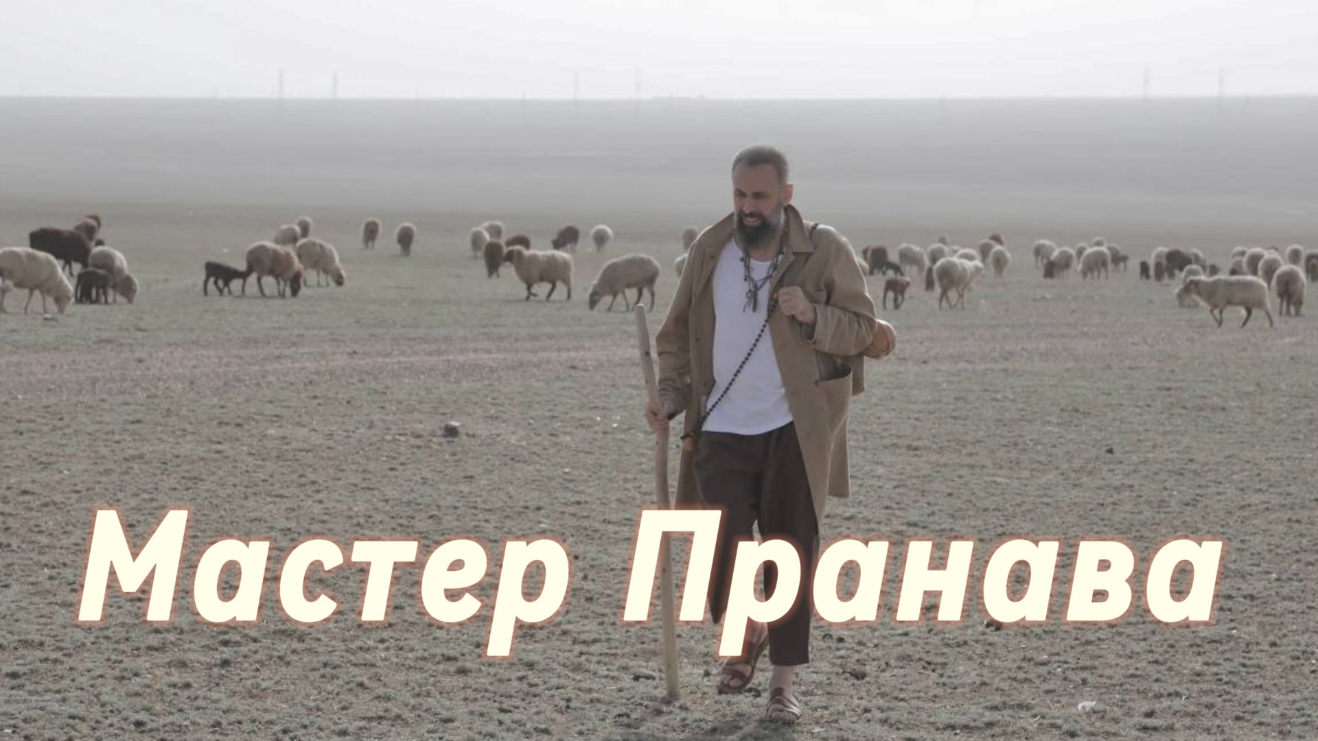 Сатсанг ответы на вопросы, Сборник 75. Мастер Пранава смотреть онлайн