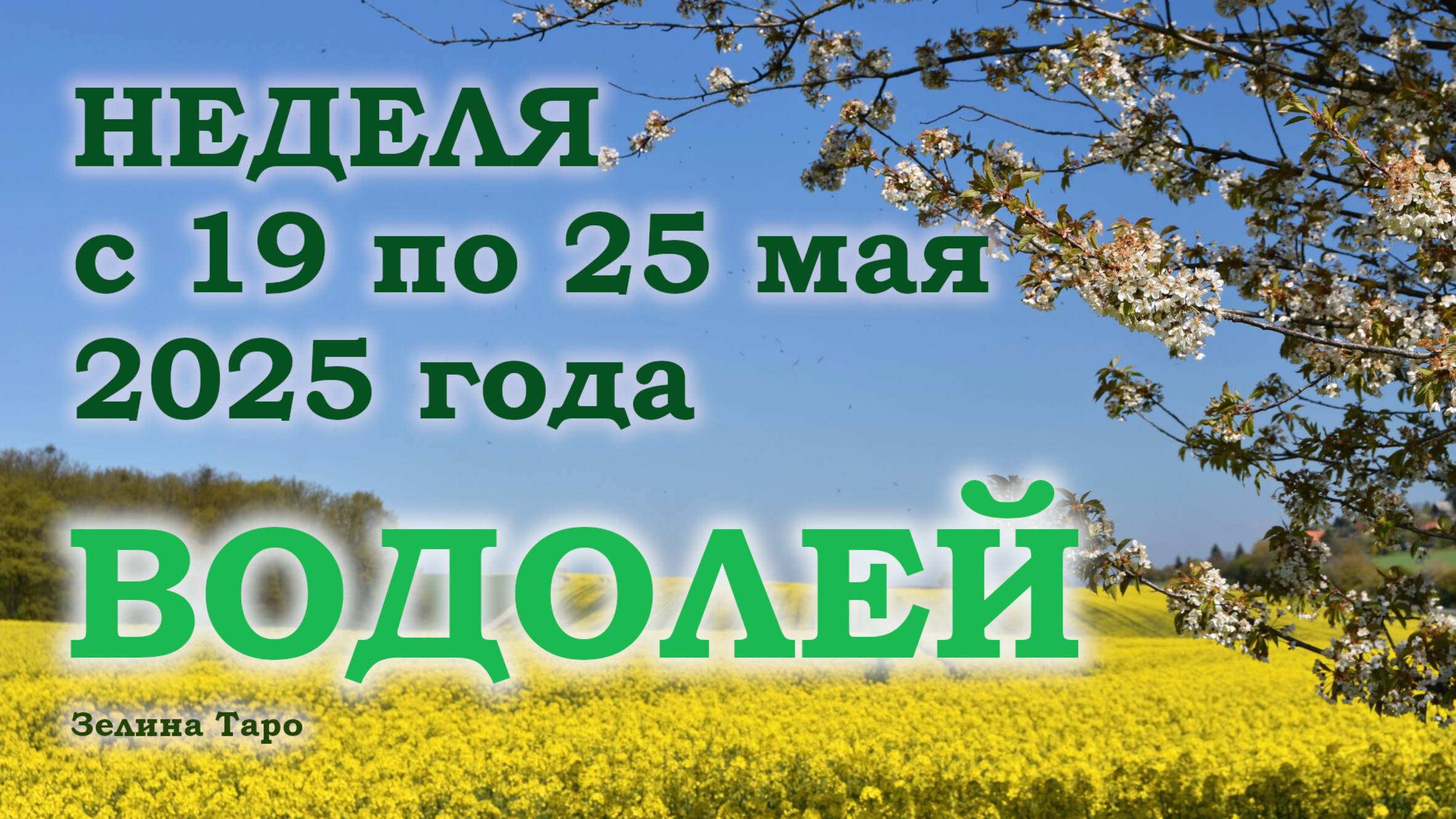 ВОДОЛЕЙ | ТАРО прогноз на неделю с 19 по 25 мая 2025 года