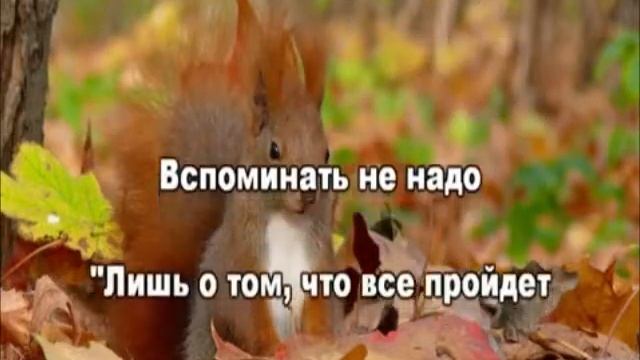 Все пройдет  плюс