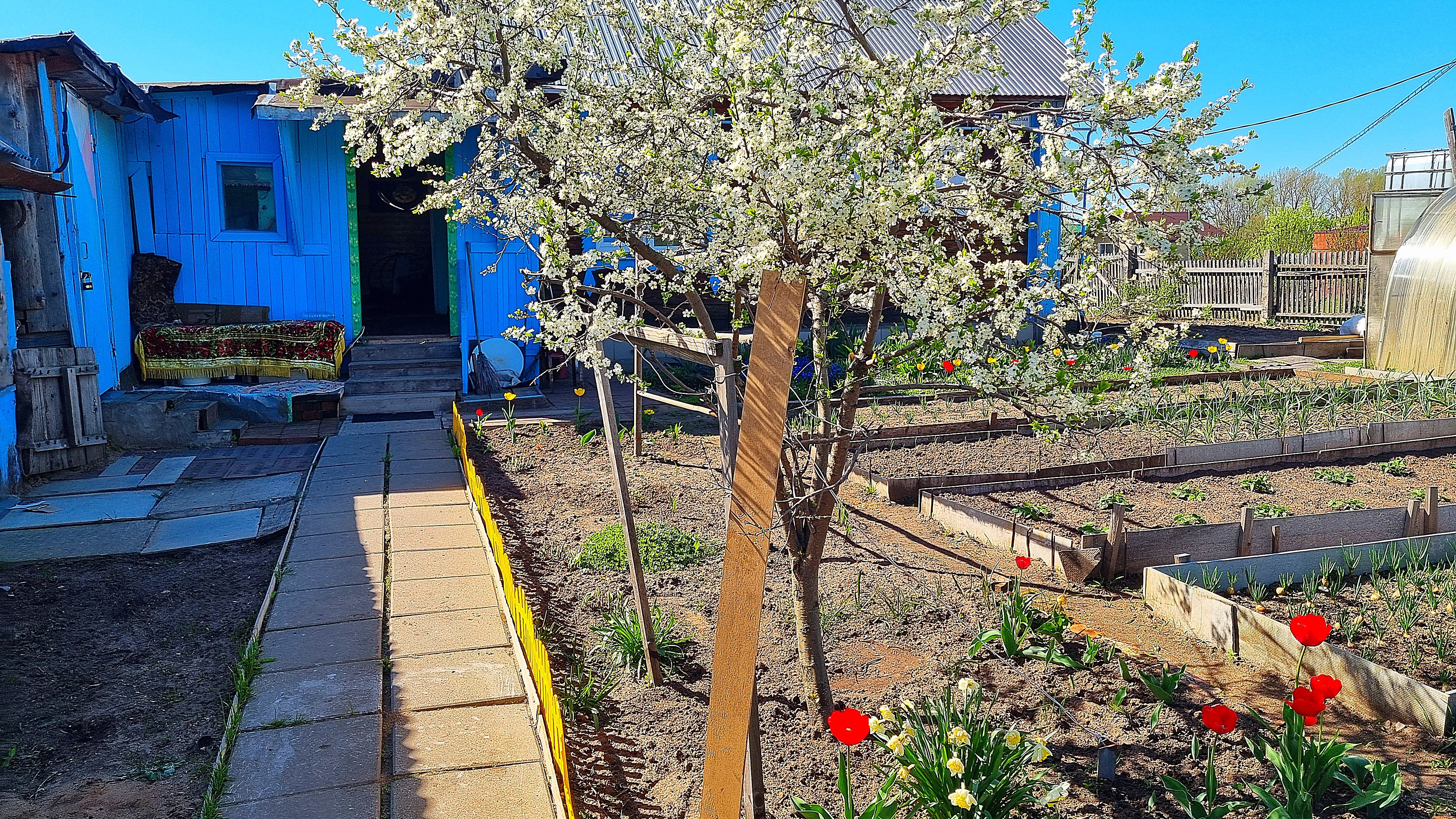 🌼Дом в Перекопе расцвел и наполнился цветами🌸 смотреть онлайн