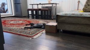 Часть 4. Распаковка - дело серьезное. Так можно последние молочные зубы потерять.