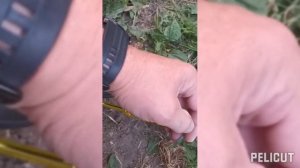 Запуск любого бензо генератора с котлом Baxi MAIN Four 240 F бе