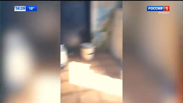 Переход на региональное вещание + небольшой ляп (Россия 1 Кузбасс, 18.05.21 14:29) смотреть онлайн