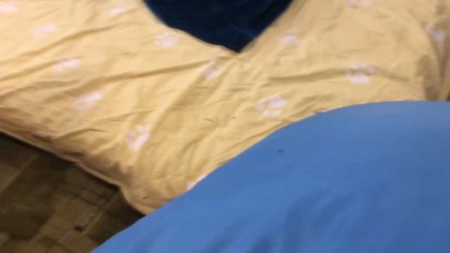 Розпакунок лоту New Nintendo 2ds xl Pokmon edition з Віоліті