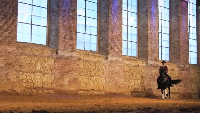 лошадь испанская чистопородная