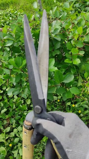 Ножницы для живой изгороди окатсуне "okatsune". Шпалерные ? смотреть онлайн