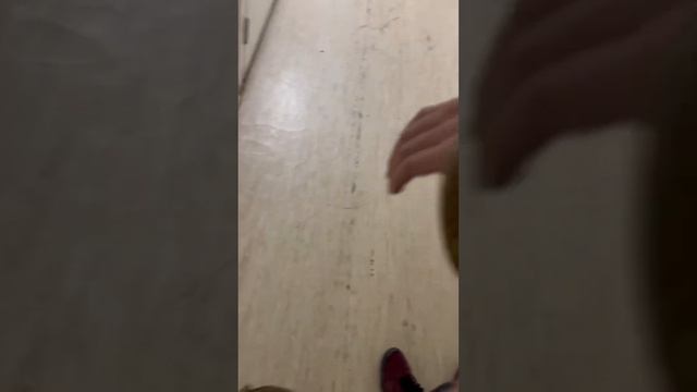 Аналог из Китая Swagman Roll Basic от Helikon Tex точно не хуже