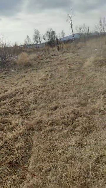 митсубиси мт 26 с мульчиром. Весной.(в работе японский т