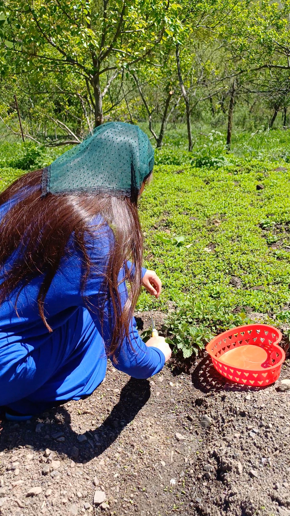 Диана Горянка