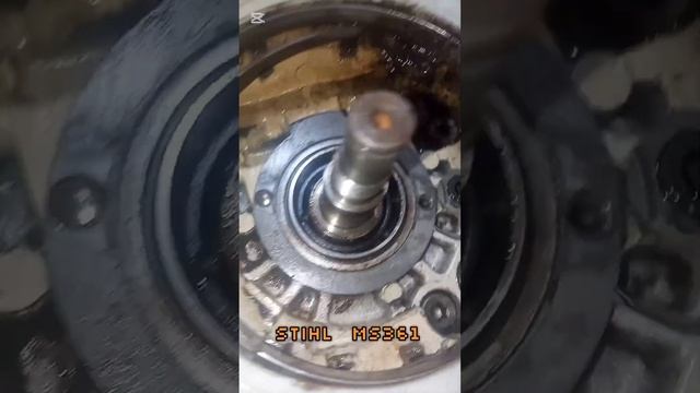 Замена сальника правильно штиль мс #ремонт 361 смотреть онлайн