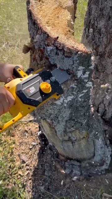 ЦЕПНАЯ ПИЛА В ДЕЛЕ #инструмент #дача #пила