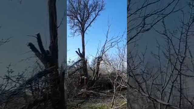 профессиональный надпил смотреть онлайн