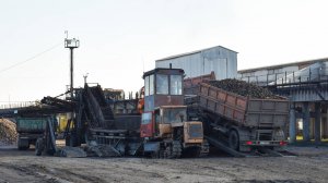 Буртоукладочная машина 65М2Б3-К. Работа, боковой свал.