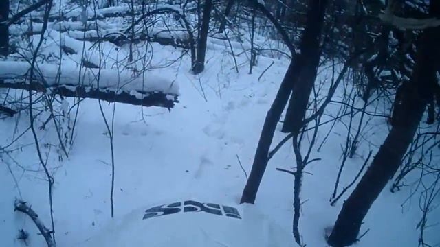 крушу лес, прокладываю хард.