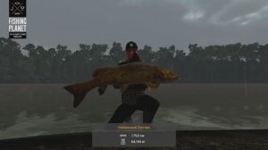 Fishing Planet. Боливия. Сомы реки Маррон