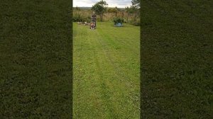 Как убрать сухую траву газонокосилкой.