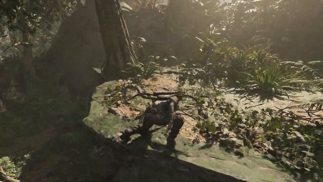 Тут бродит Ягуар...  $  Shadows Of The Tomb Raider  $  №47