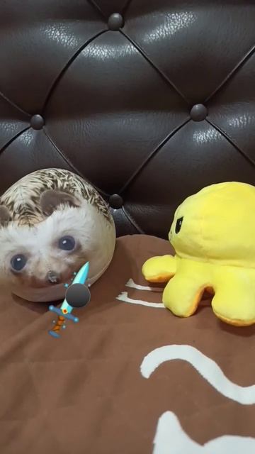 осьминог и хренобус точат шпагу