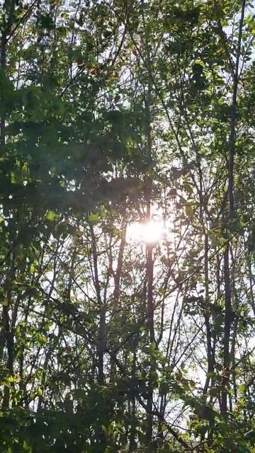 Всем доброго дня!