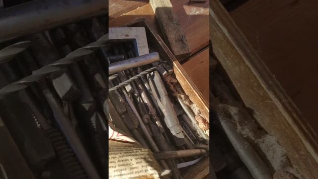 Отдали на АВИТО. смотреть онлайн