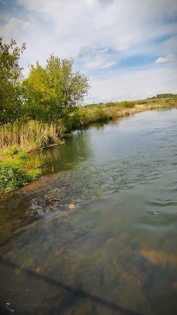 Звуки Природы. Настоящие