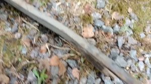 kia Sportage 3 замена сайлентблоков в задних продольных рычагах