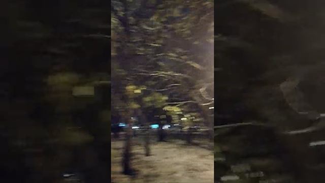 26.09.2022 Красивые ракурсы с объяснением / Свет , Листья , Капли , Снег, вооьшем эстетика природы