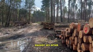 Отец каждую ночь ВОДИЛ дочь В САРАЙ... Соседи были в шок