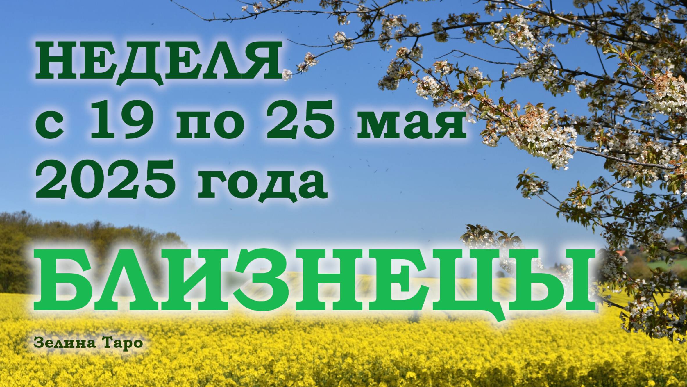 БЛИЗНЕЦЫ | ТАРО прогноз на неделю с 19 по 25 мая 2025 года