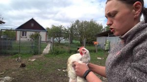 Деревенские будни