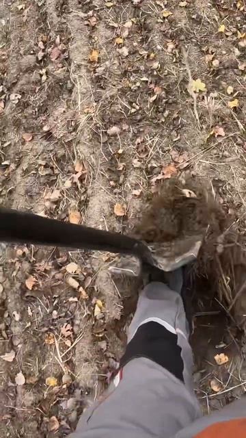 )) #кладоискатели #металлоискатель #природа