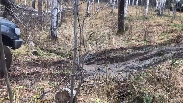 На дыроватый.  Лайт.  Шунут 4*4.