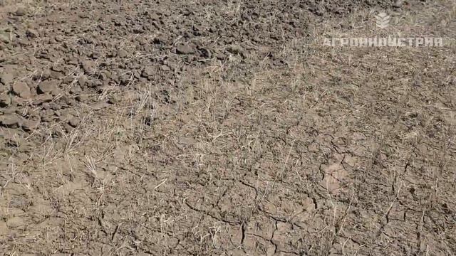 Закрытие влаги Бороной ротационной кольцевой БРК-8 смотреть онлайн