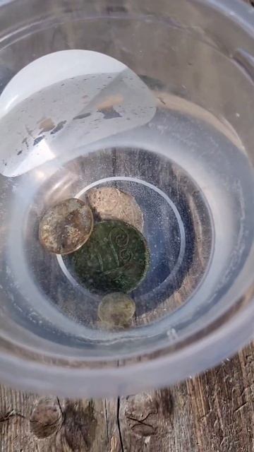 Как быстро почистить старые монеты! #металлокоп #жизн? смотреть онлайн