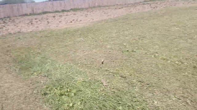 работа мульчера скаут-GCH-180 смотреть онлайн