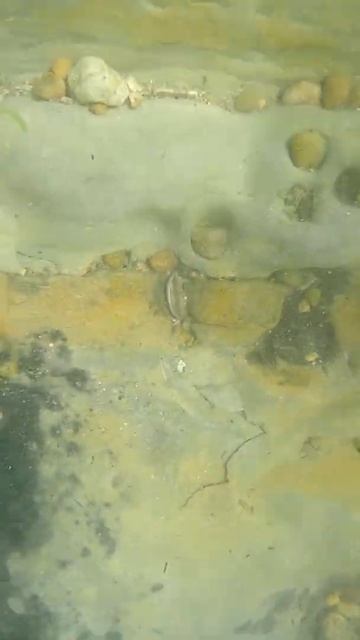 Подводный коп с Minelab Excalibur 2. Спасаем монету из каменног