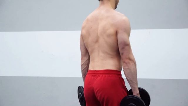 ШРАГИ С ГАНТЕЛЯМИ (shrugs with dumbbells) смотреть онлайн