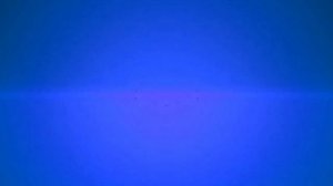 Заставка Ани с эффектами. Ani screensaver with effects.