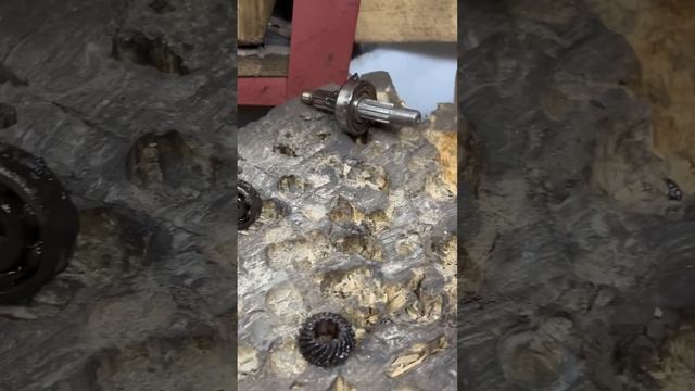 Ремонтируем редуктор мотокосы своими руками👍#ремонт смотреть онлайн