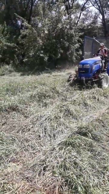 Фотон Ловол 244