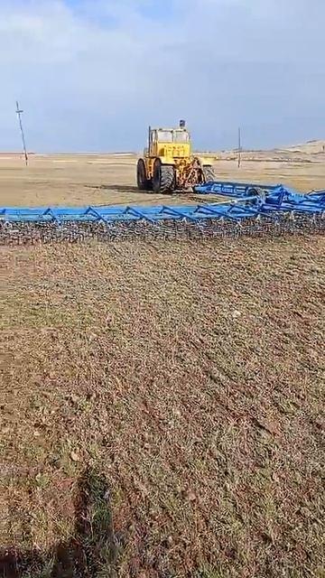 Фермер испытывает новую борону #фермерство #farming смотреть онлайн